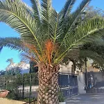 Joli T2 Proche Centre Calvi (Corsica)