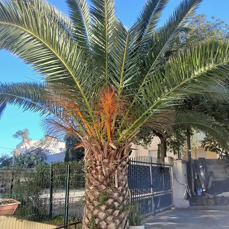 Joli T2 Proche Centre Calvi (Corsica)
