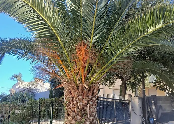 Joli T2 Proche Centre Calvi (Corsica)